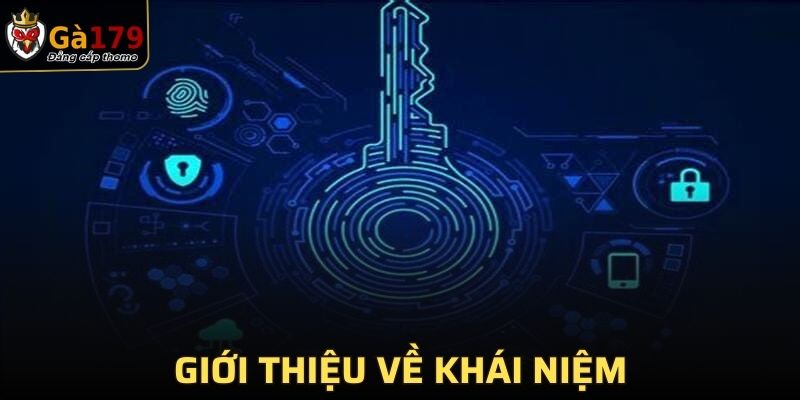 Giới thiệu các thông tin chung về quyền riêng tư