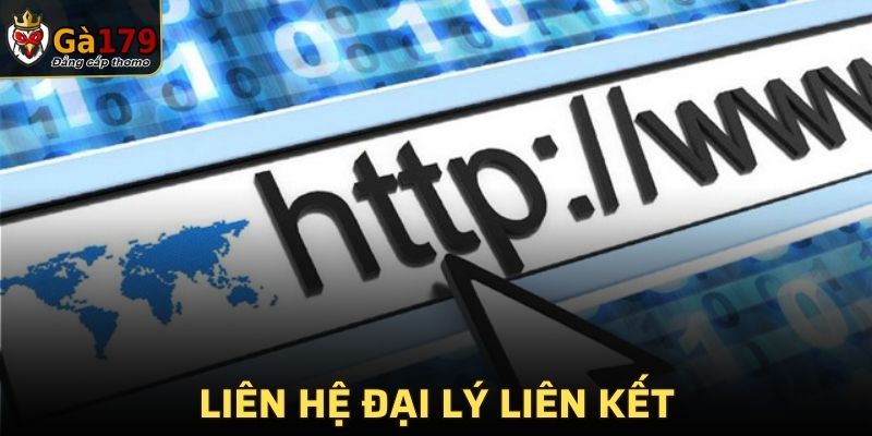Liên hệ đại lý liên kết